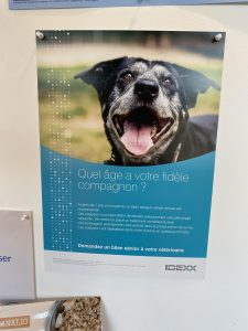 556955482 1303330828254072 6691377582045898586 N