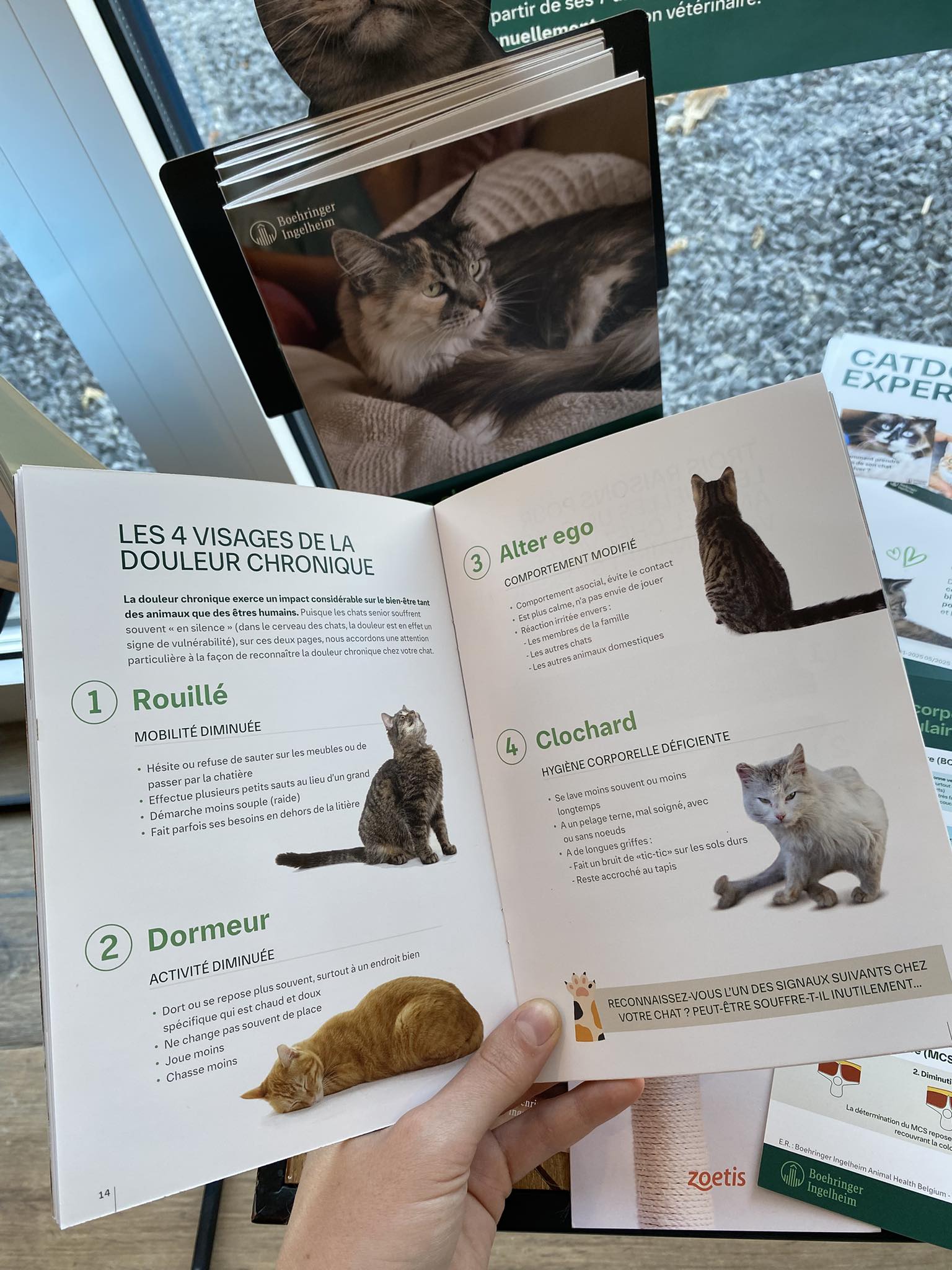 557692297_1303330788254076_8013232708681402470_n 557692297 1303330788254076 8013232708681402470 N