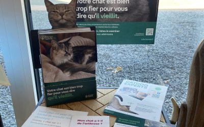 557998142 1303330771587411 7733100890000237428 N