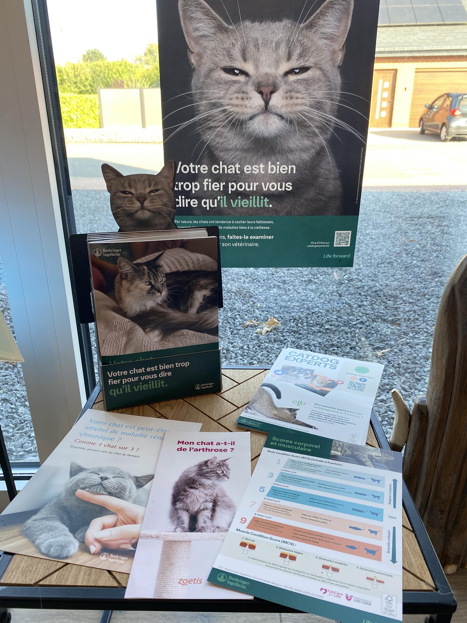 557998142_1303330771587411_7733100890000237428_n 557998142 1303330771587411 7733100890000237428 N