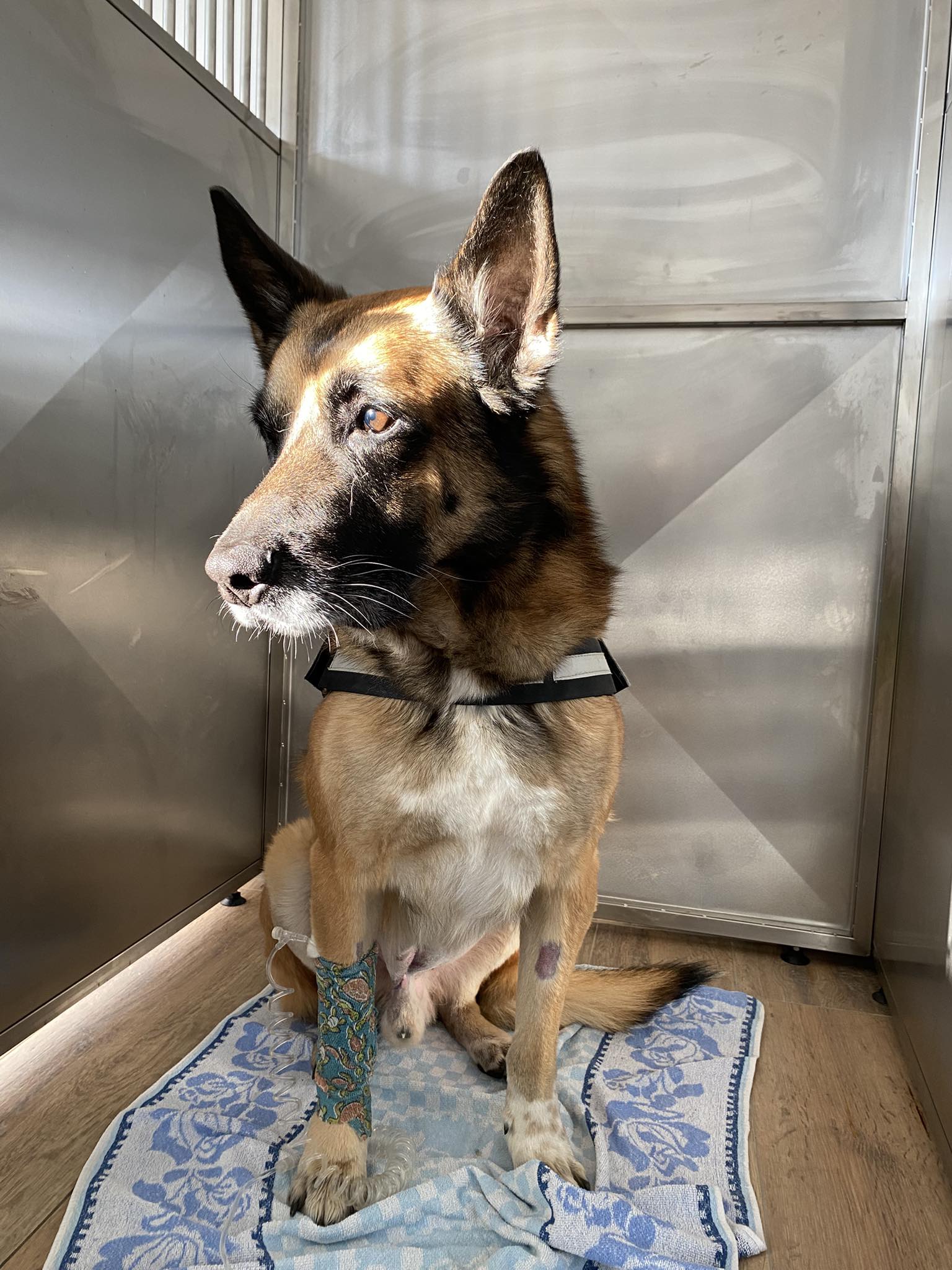 645480833_1427108889209598_5750597415528118183_n 645480833 1427108889209598 5750597415528118183 N